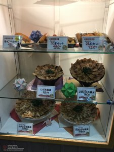 20180110201431_iPhone 7.jpg